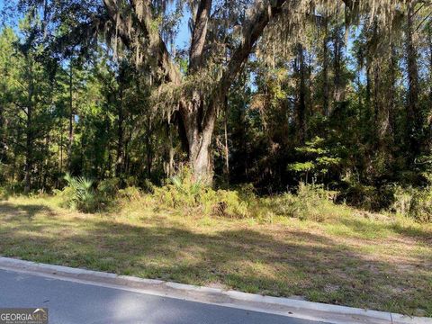 LOT 141 Beacon Pointe PKWY Waverly GA 31565