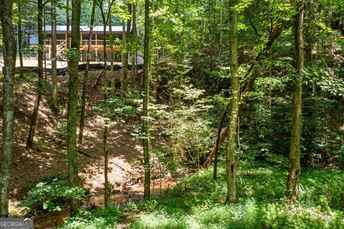 641 Bryant Farm LN