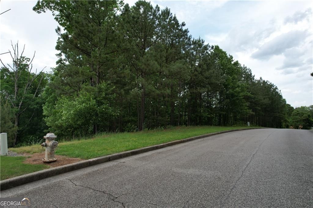 Photo of 224 Pindos Place SW, Powder Springs, GA 30127 (MLS # 10651865)