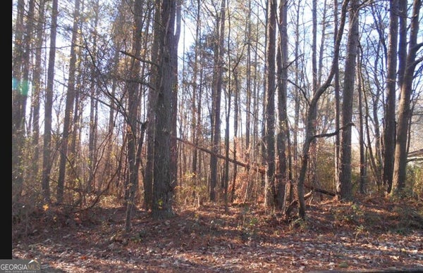 BARTLETT CIR, BOWDON, GA 30108 - Image e10837db6a3fa8d99f6accfcf827c5a5/2650909333