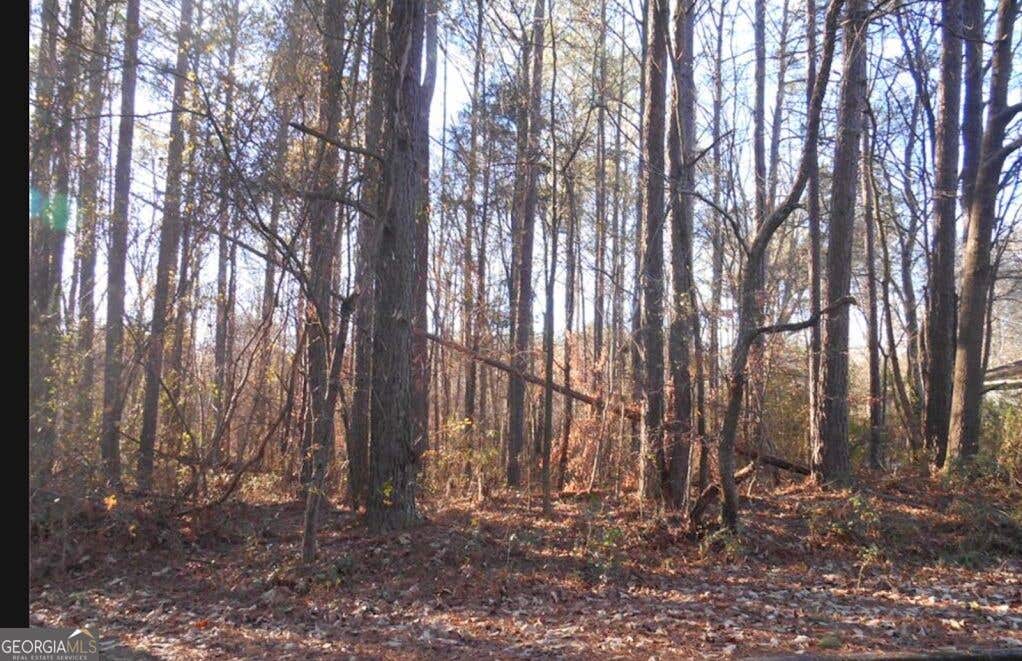 Photo of 0 Bartlett Circle, Bowdon, GA 30108 (MLS # 10827984)