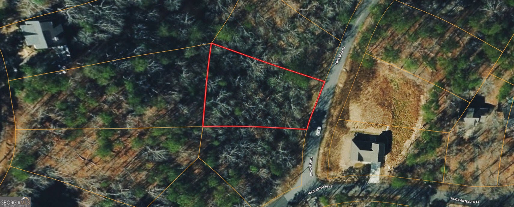 166 Lone Bear DR