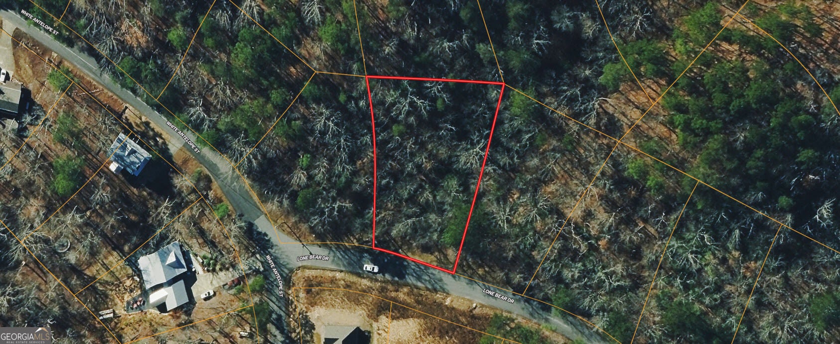 166 Lone Bear DR