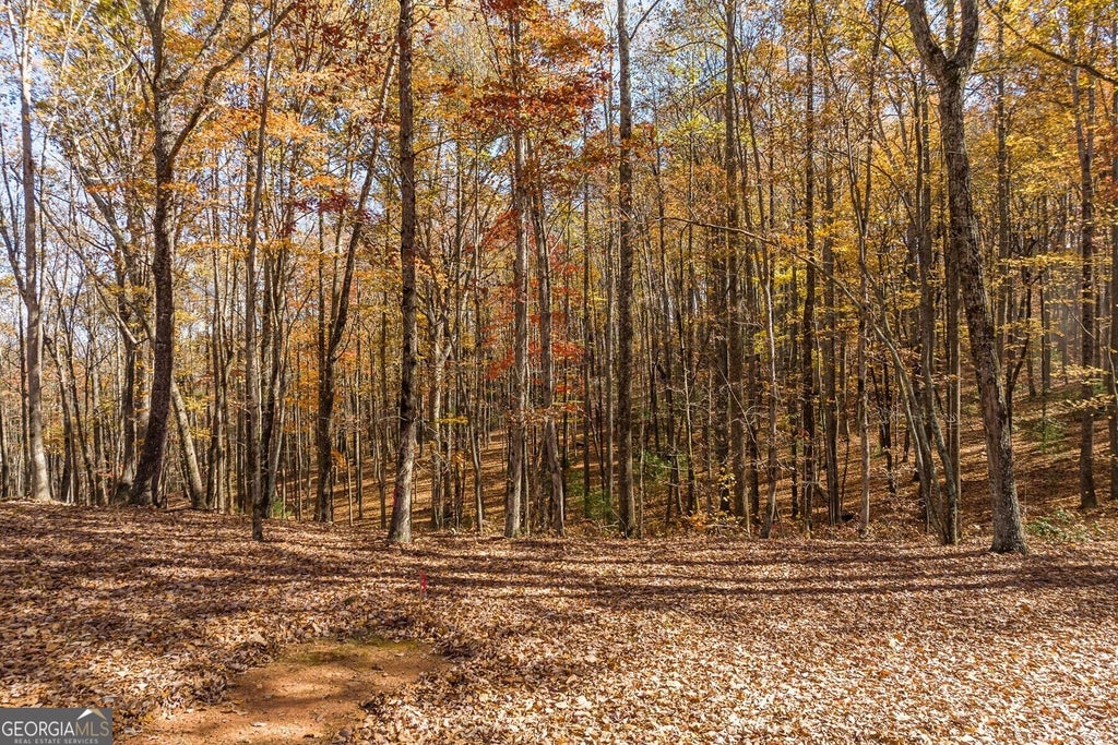 Photo of 17 Tanager Trail, Ellijay, GA 30536 (MLS # 10852287)