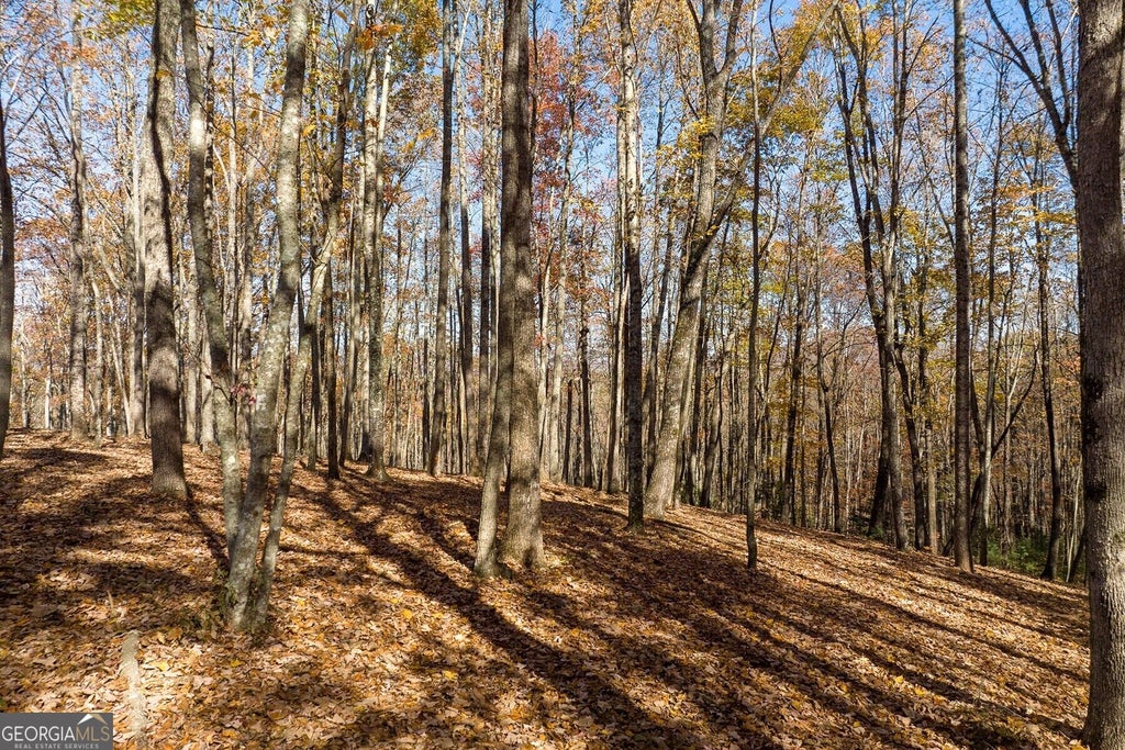 Photo of 17 Tanager Trail, Ellijay, GA 30536 (MLS # 10852287)
