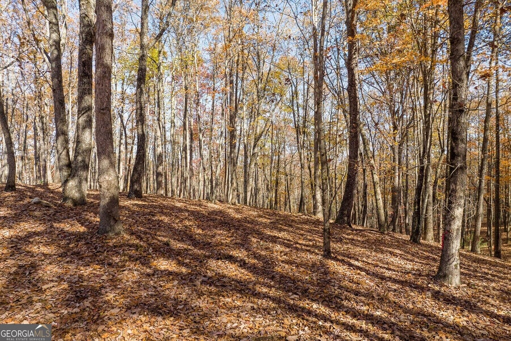 Photo of 17 Tanager Trail, Ellijay, GA 30536 (MLS # 10852287)