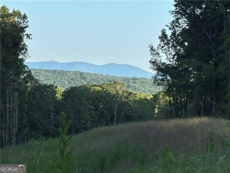 LOT 23 Norton LN