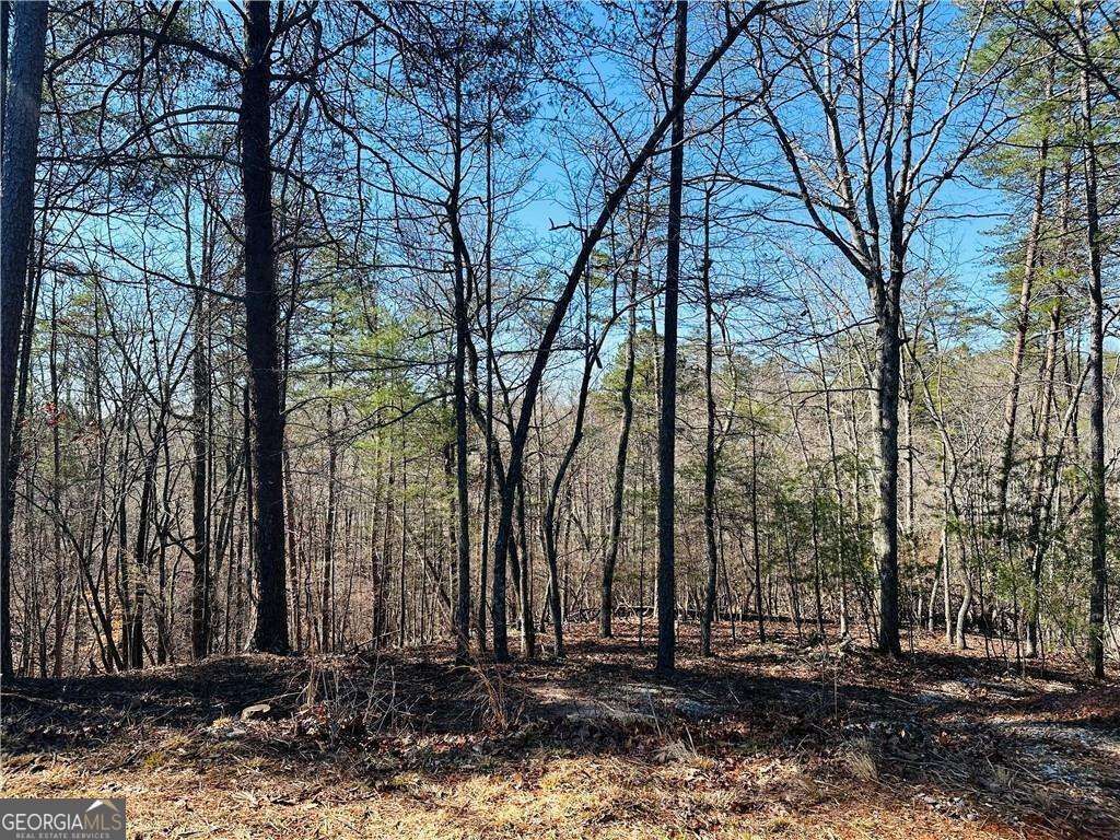 Photo of 20 Crown Mountain Way, Dahlonega, GA 30533 (MLS # 10680081)