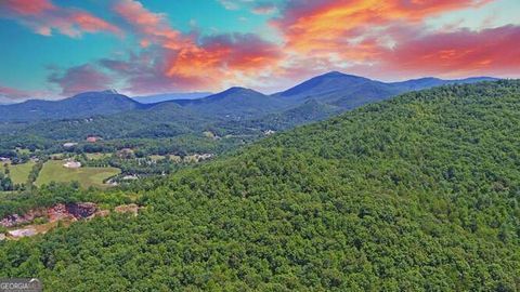 A home in Hiawassee