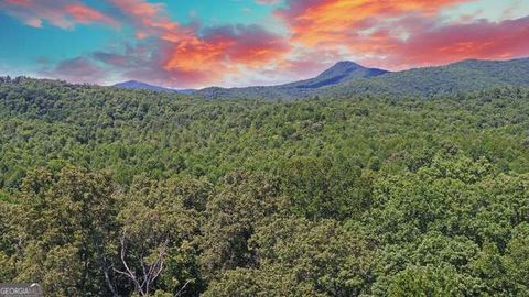 A home in Hiawassee