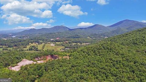 A home in Hiawassee