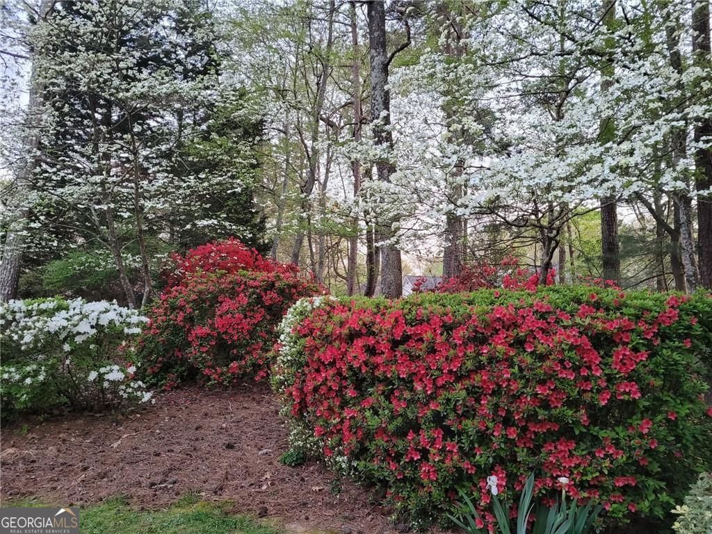 Duluth, Georgia 30097, United States, 4 Bedrooms Bedrooms, ,4 BathroomsBathrooms,Residential,Active,173260