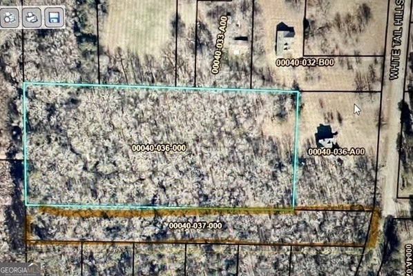 WHITE TAIL HILLS DR, JACKSON, GA 30233 - Image e167ea174c8ef76a59e7674c4ec5208d/3420615355