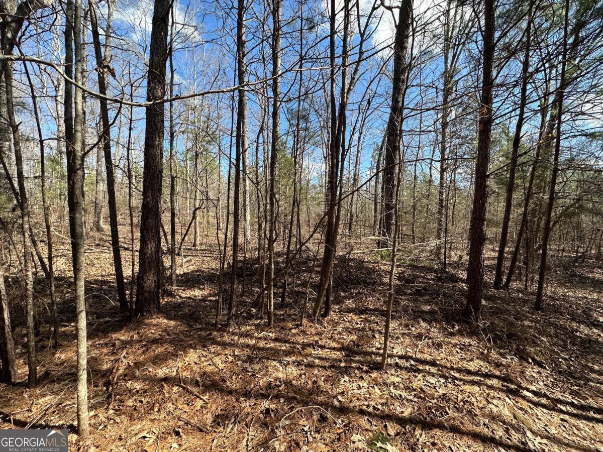 Incredible opportunity to own and/or develop 103.73 acres of property less than 1/2 a mile from the oldest GA Power lake in the state! Located a mere 50 miles from Atlanta, this is the newest hot spot at a still affordable pricing. Easy access to shopping, grocery stores, restaurants, Marianas, the interstate plus only 20 minutes to charming downtown Covington. 20 minutes to Covington / I-20 and Jackson GA. 25 minutes to Locust Grove / I-75 This rare property has several options - the land could easily be subdivided into smaller lots of a minimum of 1 acre and developed into a community for full time residence or Summer homes convenient to Jackson Lake. Or build your dream home with a private 3+ acre lake and carve off a few more lots for your friends, enjoy hunting & shooting in the private wooded acreage. Enjoy tranquil vibes and peaceful views year-round. With all the options this property has to offer, you won't want to miss your opportunity for a good profit. There is abundant timber to be felled for profit and funding development. The county remarks about the land: "The property in question has a Future Land Use designation of Residential at this time. It is currently zoned AR- Agricultural Residential. The minimum lot size is 1 acre. Should the parcel be subdivided you must provide road frontage for each new lot ( minimum 75 ft)." There is a well on the property. I have multiple aerial videos (MP4) available upon request and a complete set of aerial mapping photographs.