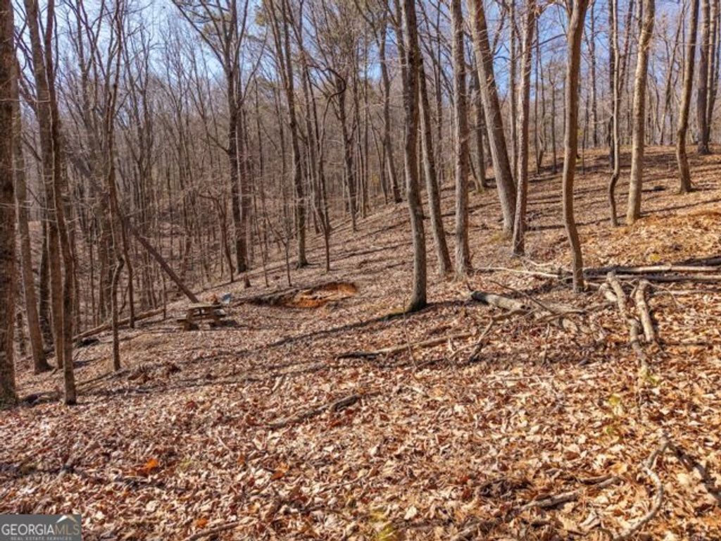 Photo of 1110 Mayfield Lane, Ranger, GA 30734 (MLS # 10691878)