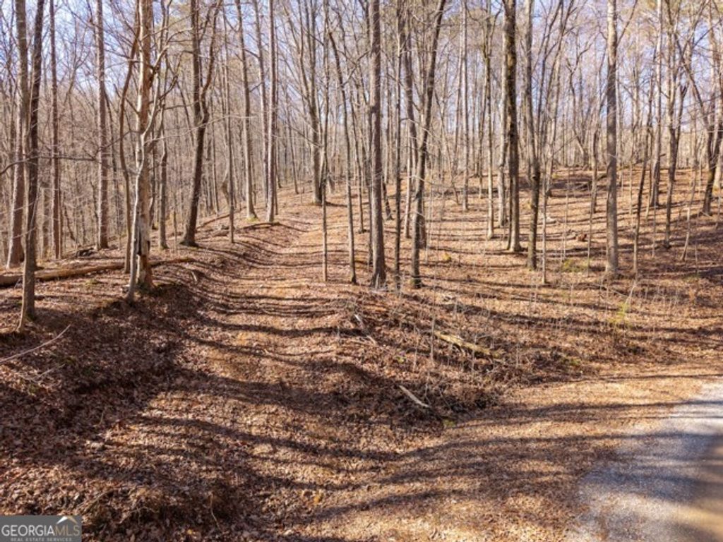 Photo of 1110 Mayfield Lane, Ranger, GA 30734 (MLS # 10691878)