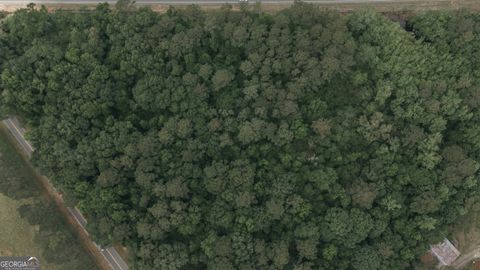 Unimproved Land in Thomasville GA 000 U S Highway 319.jpg