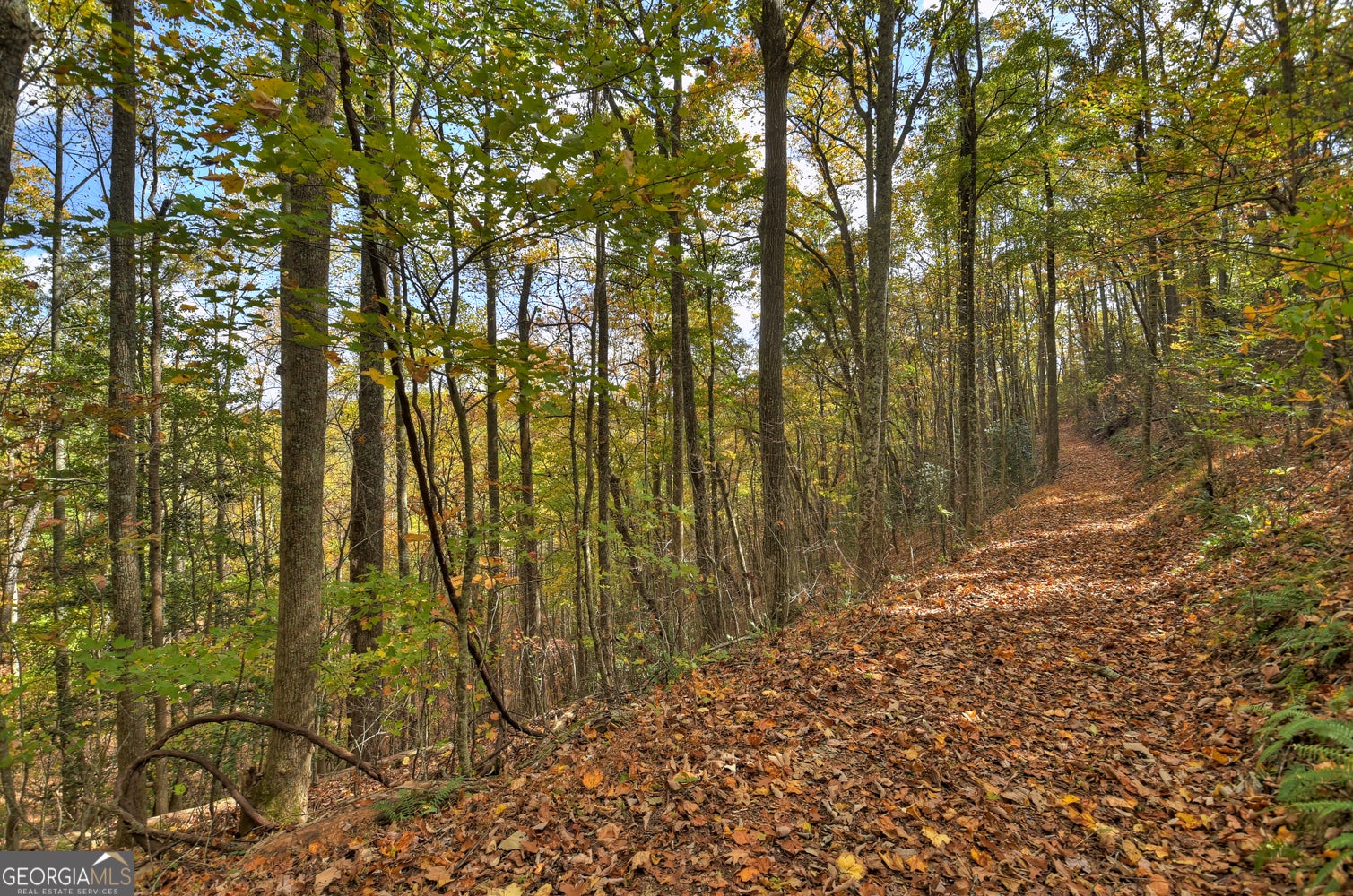 23 ACRES Weaver Creek RD