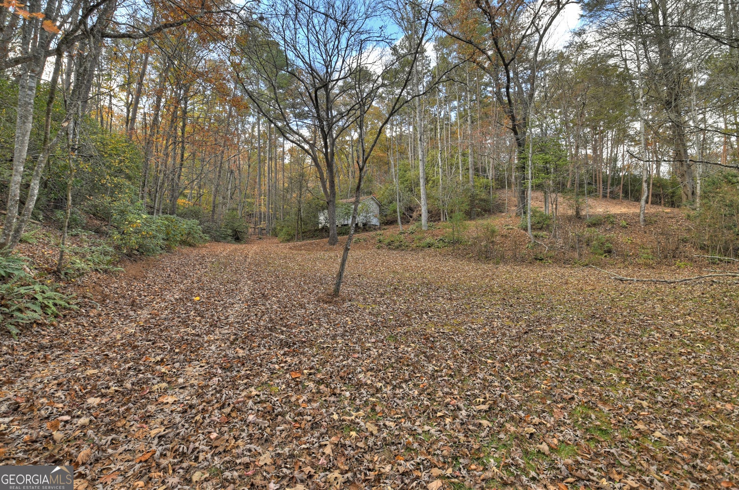 23 ACRES Weaver Creek RD