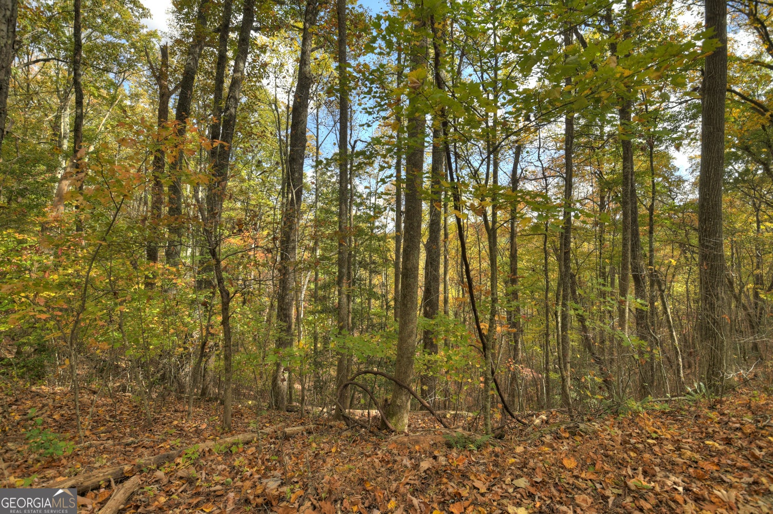 23 ACRES Weaver Creek RD