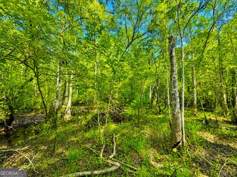 Photo of 00 Herrin Lake, Nahunta, GA 31553 (MLS # 10824764)