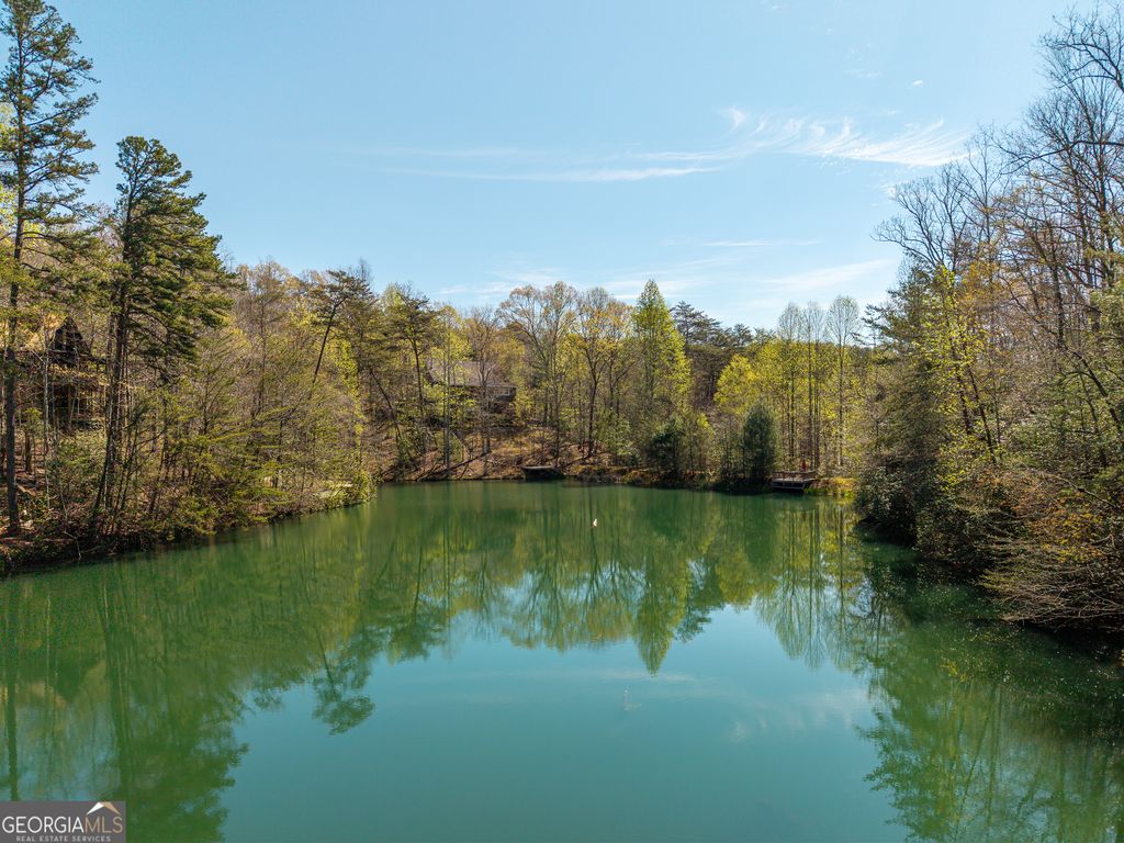 Photo of 942 Granny Branch Drive, Blue Ridge, GA 30513 (MLS # 10729411)