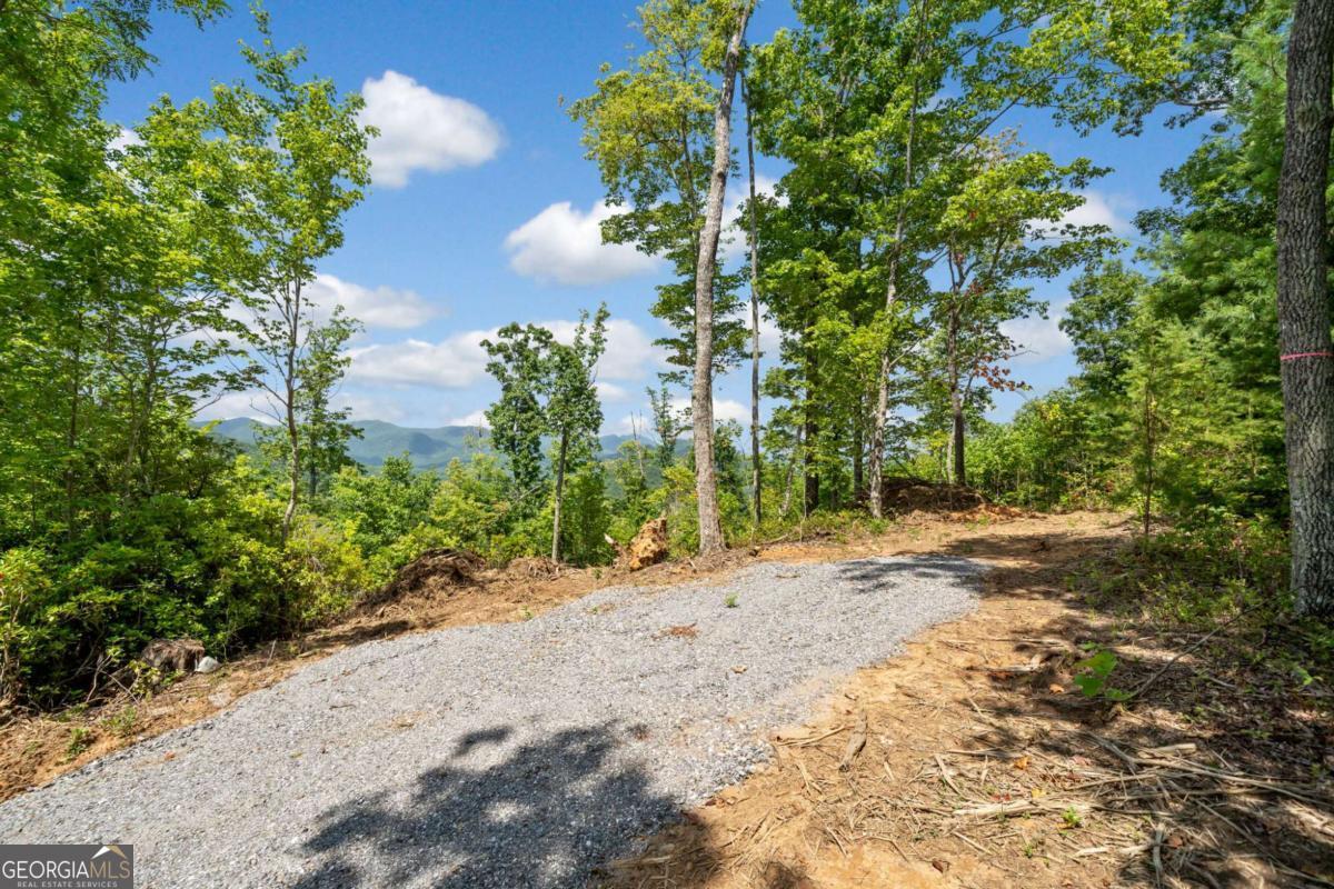 4.77 Acres Tom Wheeler RD