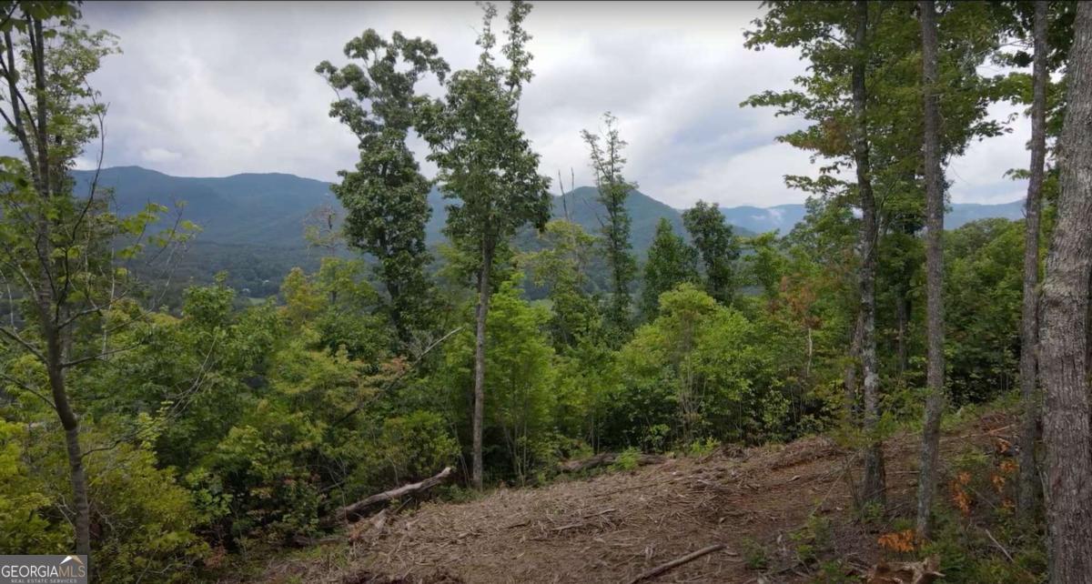 4.77 Acres Tom Wheeler RD