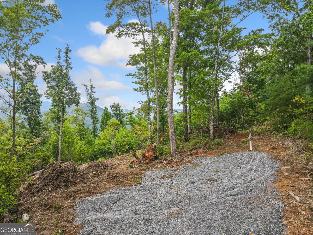 4.77 Acres Tom Wheeler RD