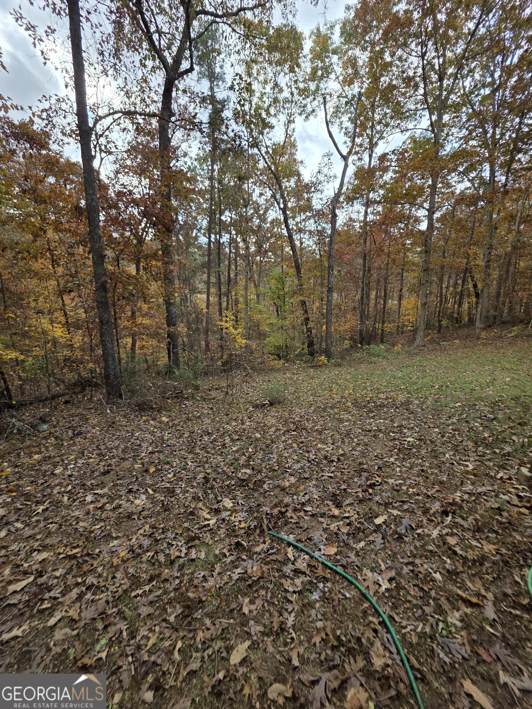 Laurel Lake - Residential