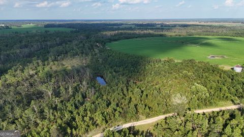 Photo of 3 Rhonda Coleman Road, Hazlehurst, GA 31539 (MLS # 10618501)