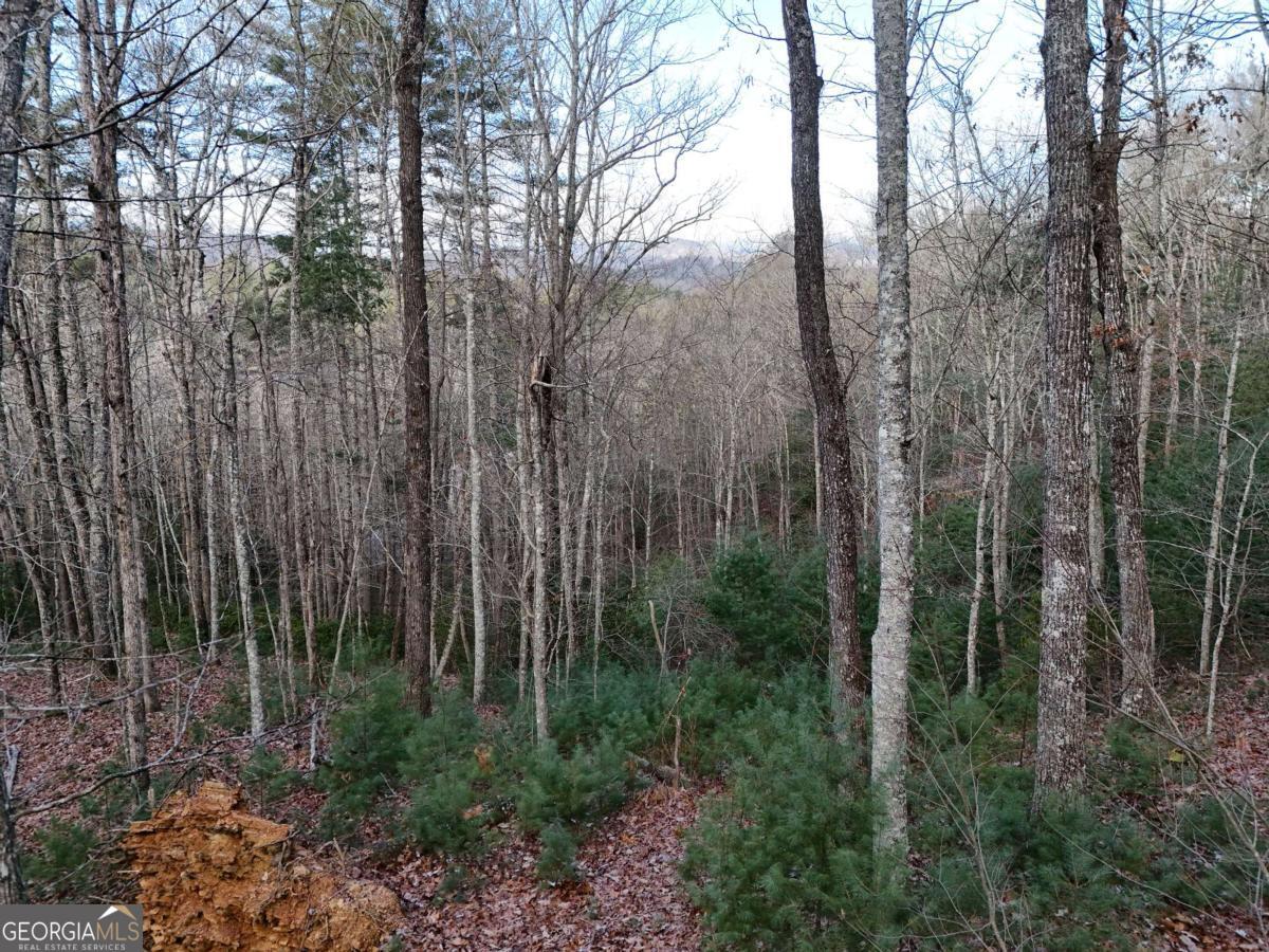 Dreaming of building your Mountain home? This is the perfect lot in the Nature's Courtyard Gated Subdivision. Extremely Nice 1.86 Acre Lot with seasonal views that has so much potential! This property features all paved roads, underground utilities, and community water. Just 10 minutes from downtown Blue Ridge with plenty of Dining & Shopping. Don't miss this opportunity!