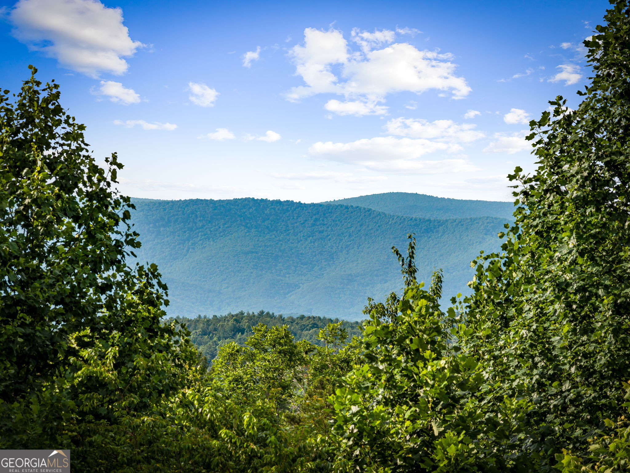 290 Old Anderson Creek RD