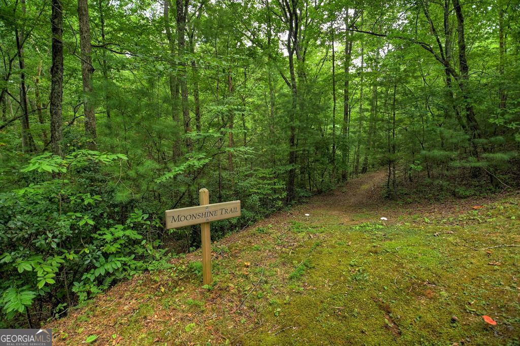 290 Old Anderson Creek Rd, Ellijay, GA, 30536, USA, 3 Bedrooms Bedrooms, ,3 BathroomsBathrooms,Residential,Active,290 Old Anderson Creek Rd,10790509