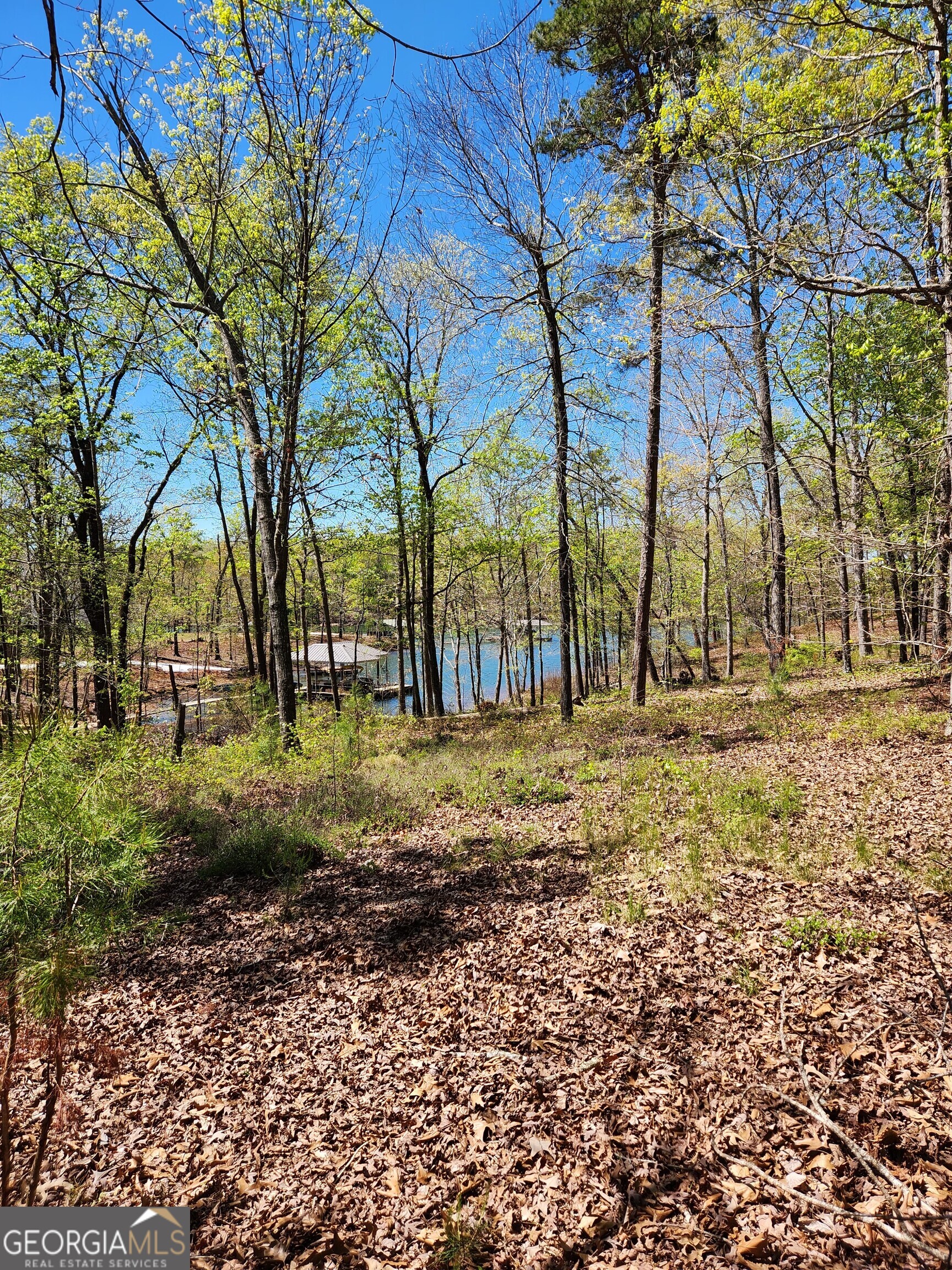 0 Crawfords Ferry PT