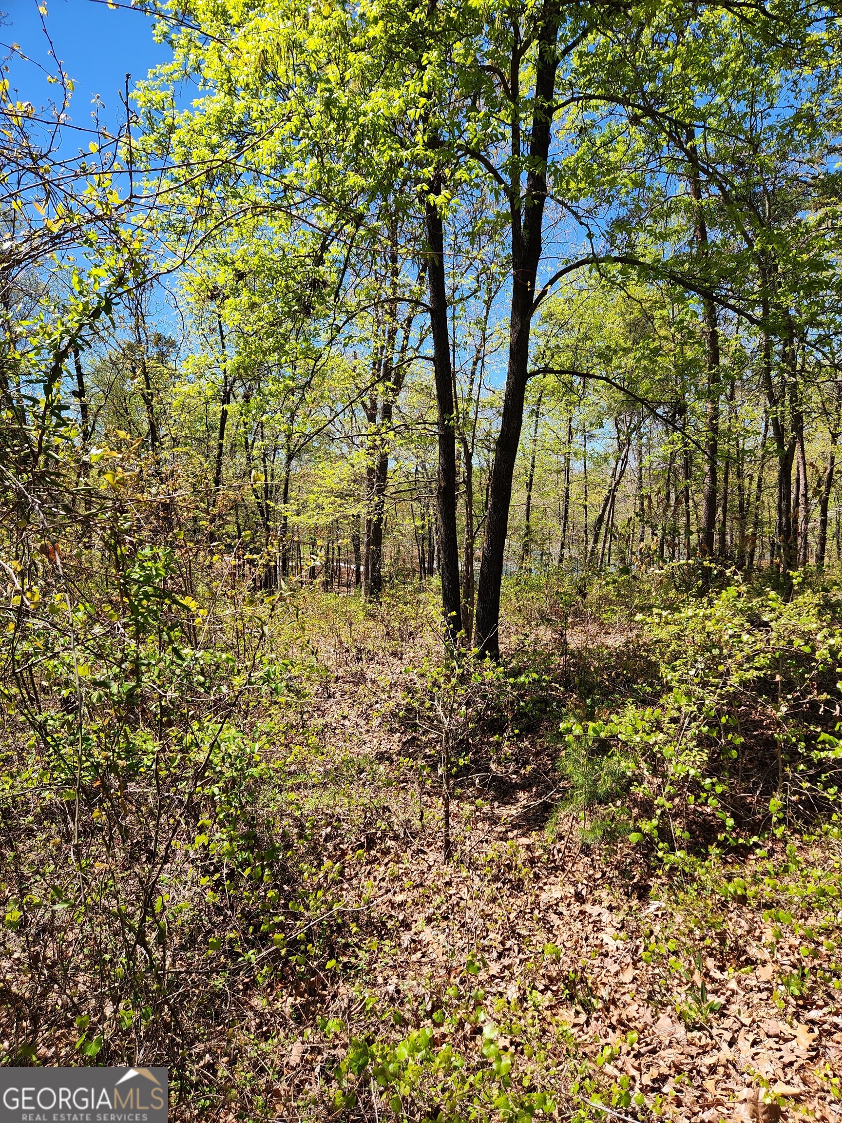 0 Crawfords Ferry PT