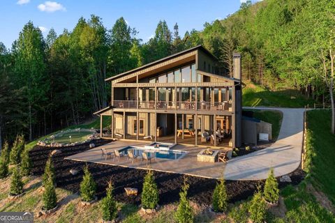 896 Locust LN Morganton GA 30560
