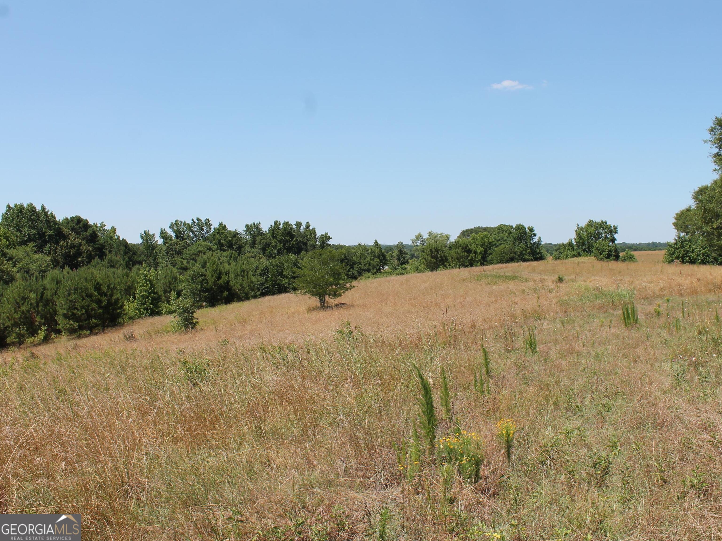0 Sandy Creek RD TRACT 4