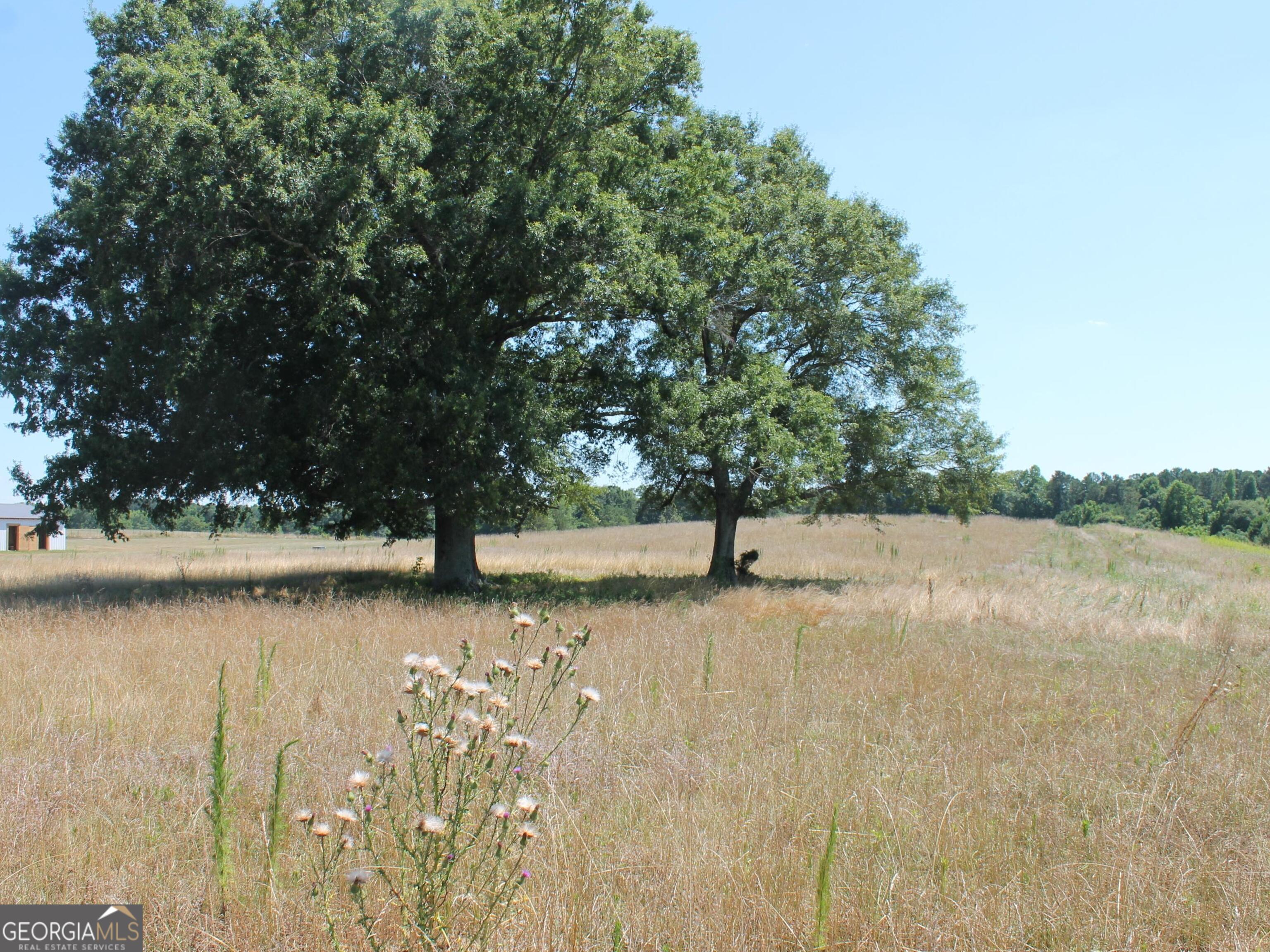 0 Sandy Creek RD TRACT 4