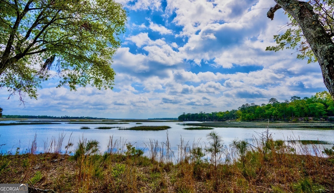 Sadlers Creek Bluff at Sheffield Island is an exceptional 471-acre property, located in a prime location just 6 miles away from I-95 and within a 35-40 minute drive from Jax airport. This stunning property boasts 242 upland acres, with the entire upland area covered in a pristine natural forest that features beautiful live oaks and virgin pines.    The property is bordered by 14,000ft of marsh and deepwater frontage on Saddlers Creek, with an additional 1400ft of bluff frontage on the creek. This unique topography provides breathtaking views of the water and the surrounding landscape, making it a true gem for nature lovers and outdoor enthusiasts.    One of the standout features of Sadlers Creek Deepwater Bluff is its close proximity to Cumberland Island and the ocean, which can be reached within 30-40 minutes by boat. This makes it an ideal location for those who enjoy fishing and hunting, with ample opportunities to explore the nearby waters and wildlife.    Furthermore, the property is conveniently located near city water, which could make it an excellent development tract. This, combined with its stunning natural beauty and unique topography, makes it an attractive investment opportunity for those looking to develop their own private estate or retreat.    Overall, Sadlers Creek Deepwater Bluff is a truly remarkable property that offers the perfect blend of natural beauty, convenience, and development potential. With its pristine forest, water frontage, and abundant wildlife, it is a rare find that is sure to appeal to anyone looking for a unique and beautiful place to call home.