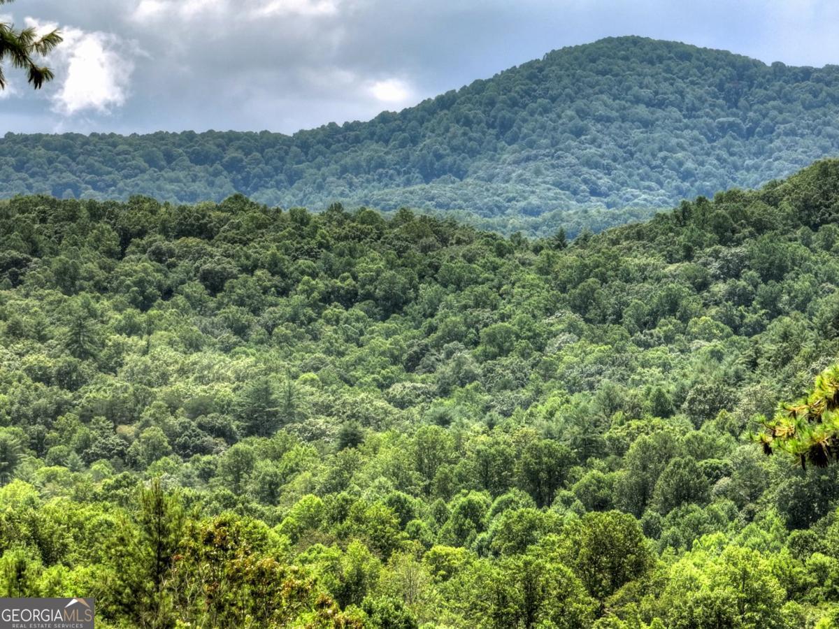 146 Hickory Nut TRL