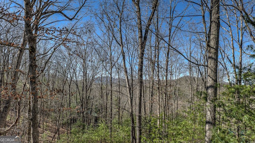 Blue Ridge, Georgia 30513, United States, 3 Bedrooms Bedrooms, ,3 BathroomsBathrooms,Residential,Active,170860