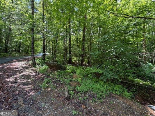 QUAIL RIDGE RD, EPWORTH, GA 30541 - Image e24ad3a320f2be1bbe53da42ee7d8879/435593193