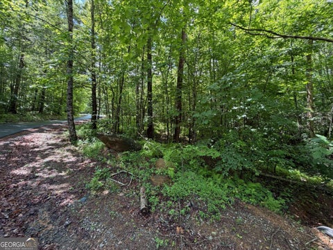 Photo for 2.75AC Quail Ridge RD
