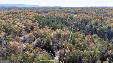 A home in Ellijay