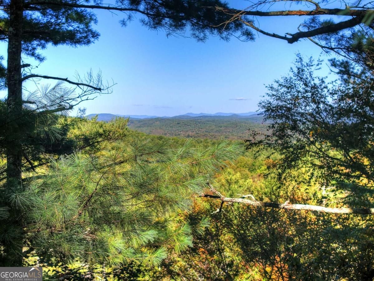 LT 123 Bell Camp Ridge RD