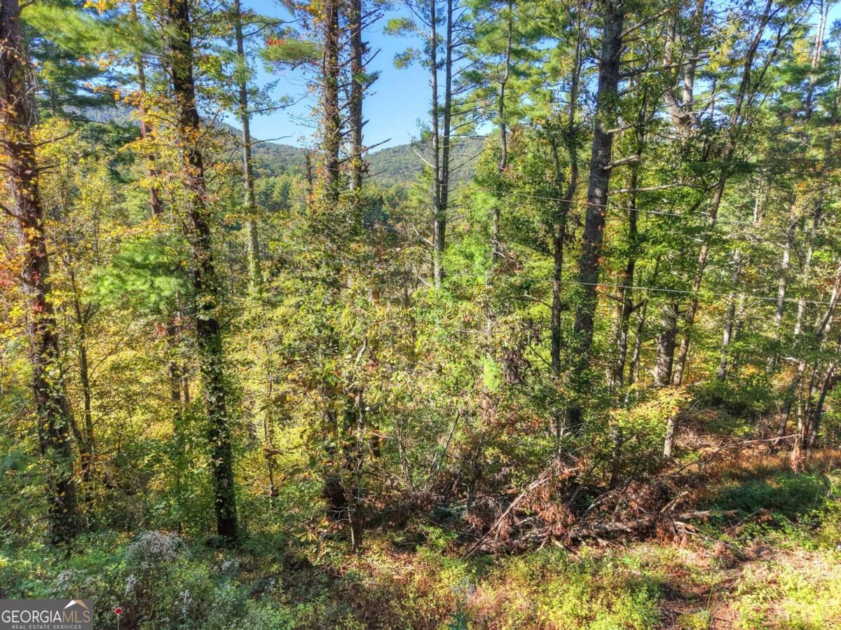 LT 123 Bell Camp Ridge RD