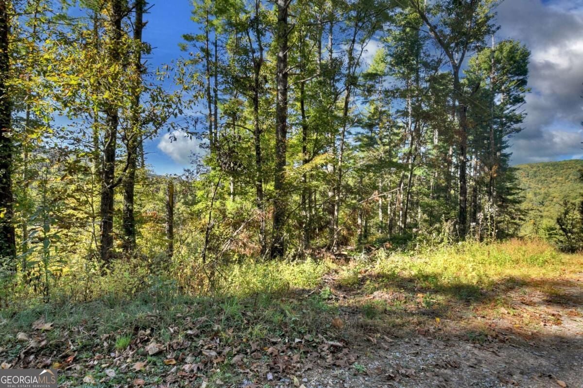 LT 123 Bell Camp Ridge RD