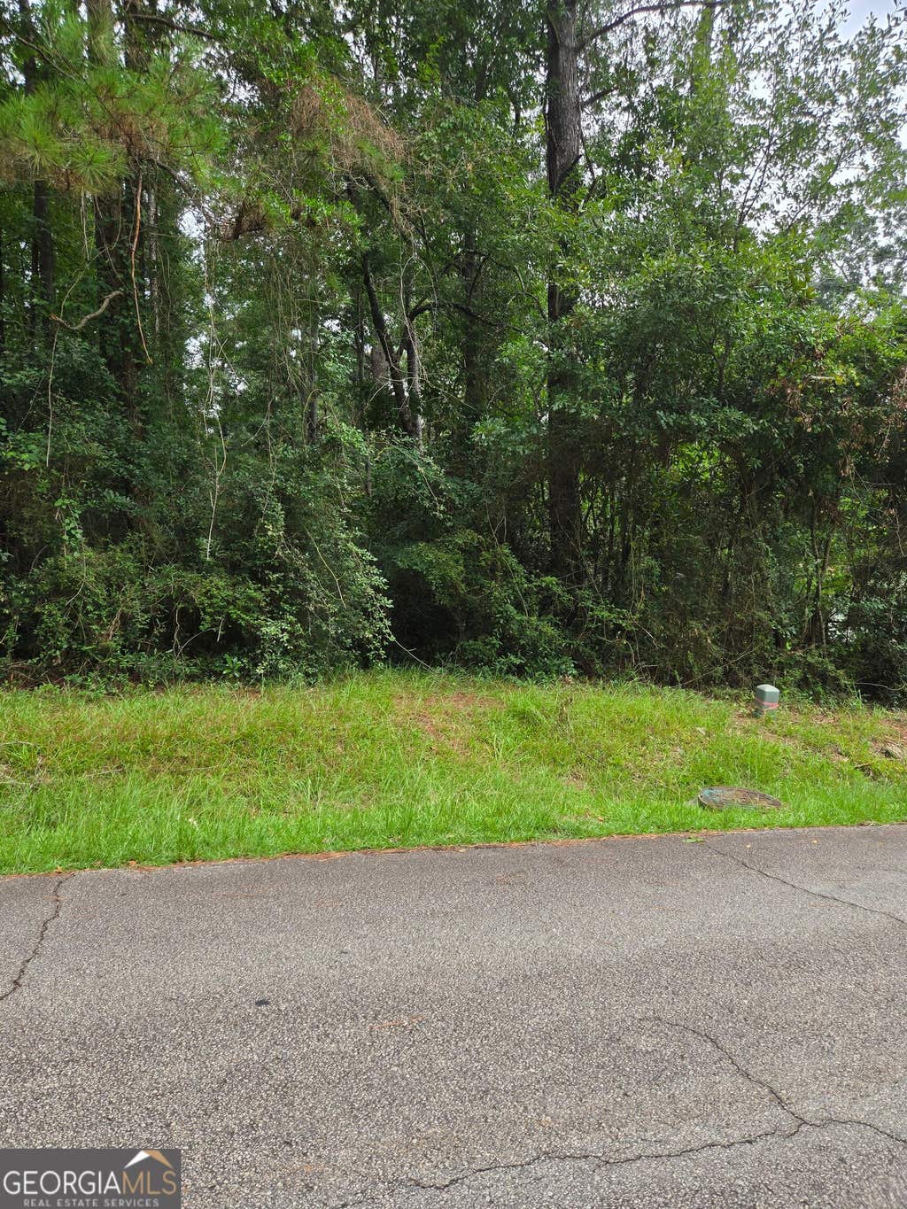 Photo of 0 Second Street, Stockbridge, GA 30281 (MLS # 10819874)