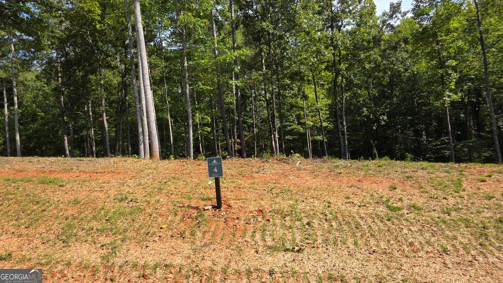 Photo of 4 Springfield Parkway, Ellijay, GA 30540 (MLS # 10682213)